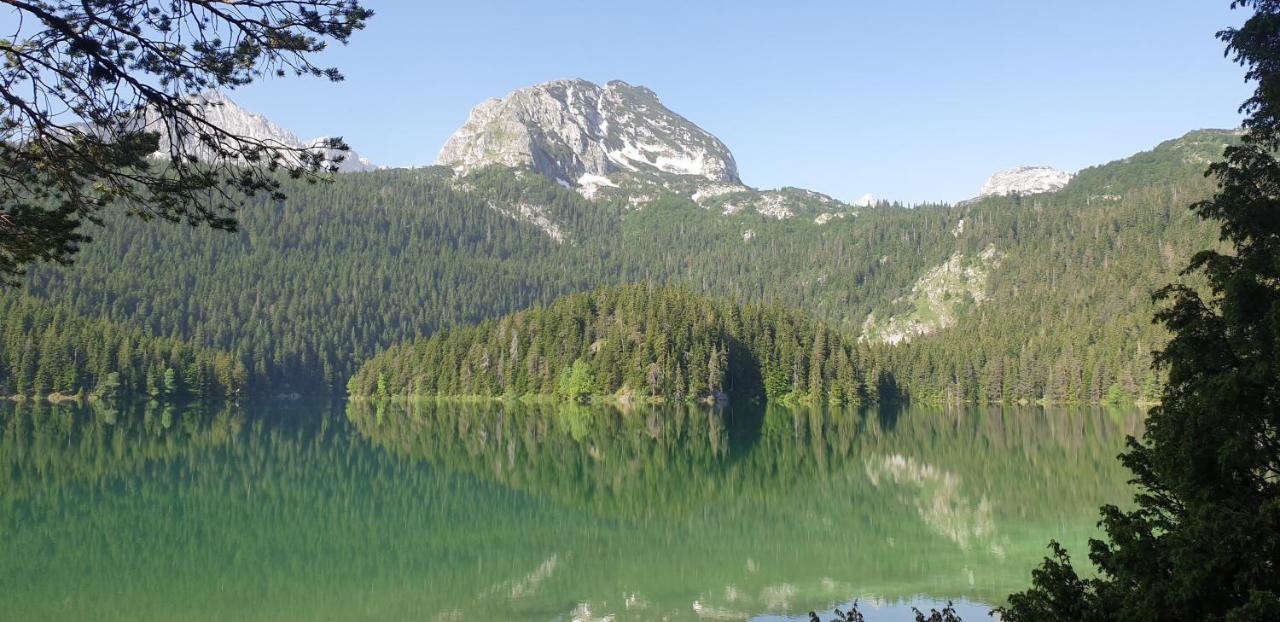 Black Lake Chalet Žabljak Exterior foto